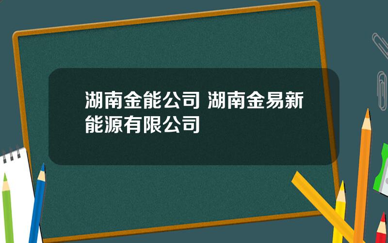 湖南金能公司 湖南金易新能源有限公司